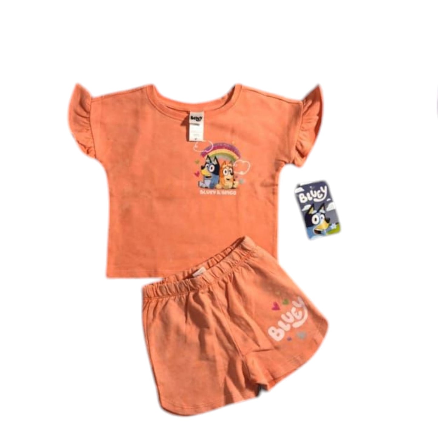 Bluey Orange Set