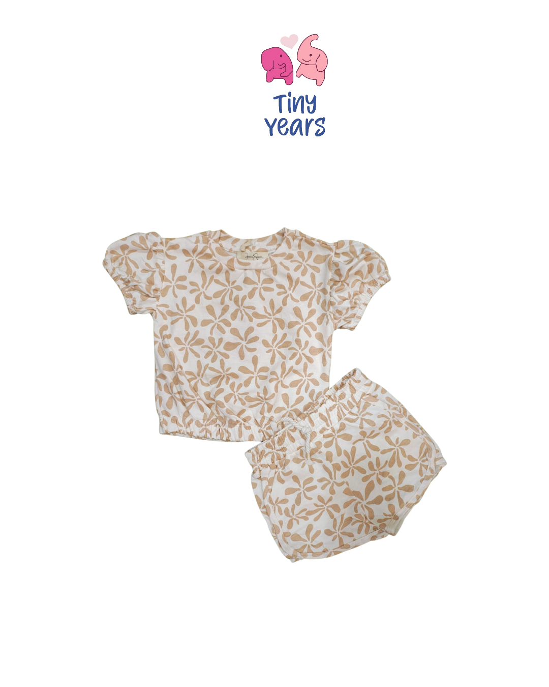 Brown summer set FRUIT SET