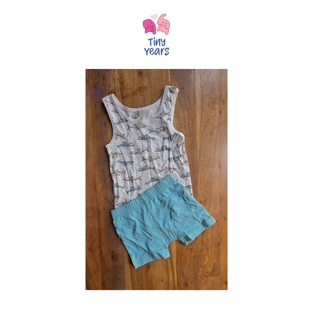 Vests and Brief Set