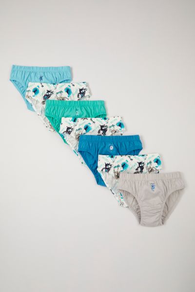 Boys Briefs 5 Pack