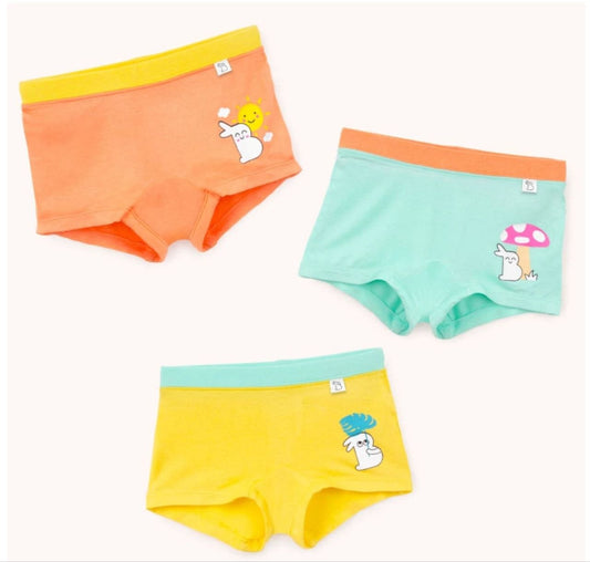 Girls Cotton Printed Boyshorts – 6 Pc Set | Soft & Comfortable Underwear