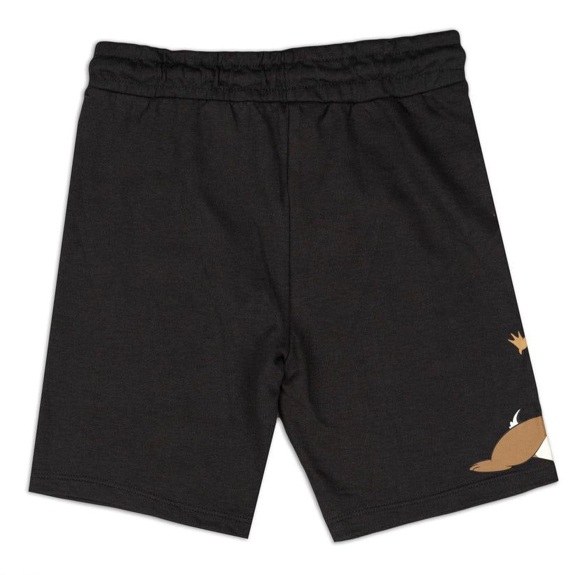 Chipmunk boys Shorts