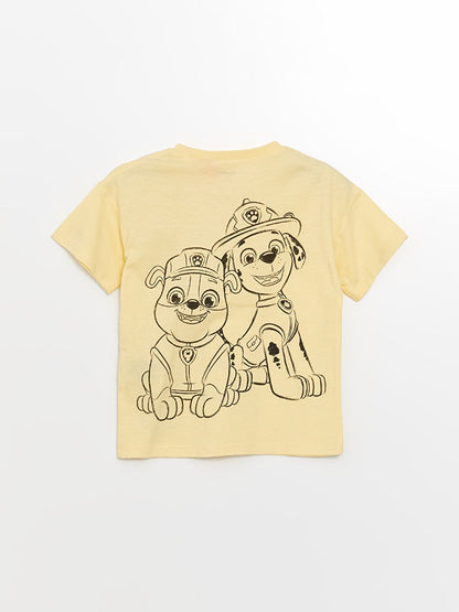 Paw patrol summer tee